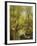 A Wooded River Landscape-Peder Mork Monsted-Framed Giclee Print