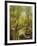 A Wooded River Landscape-Peder Mork Monsted-Framed Giclee Print