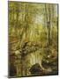 A Wooded River Landscape-Peder Mork Monsted-Mounted Giclee Print