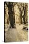 A Wooded Winter Landscape with Deer, 1912-Peder Mork Monsted-Stretched Canvas