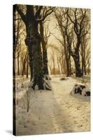 A Wooded Winter Landscape with Deer-Peder Mork Monsted-Stretched Canvas