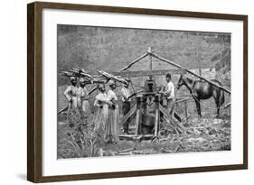 A Wooden, Horse-Powered Suger Cane Crushing Mill, West Indies, 1922-null-Framed Giclee Print