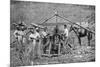 A Wooden, Horse-Powered Suger Cane Crushing Mill, West Indies, 1922-null-Mounted Giclee Print