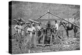 A Wooden, Horse-Powered Suger Cane Crushing Mill, West Indies, 1922-null-Stretched Canvas