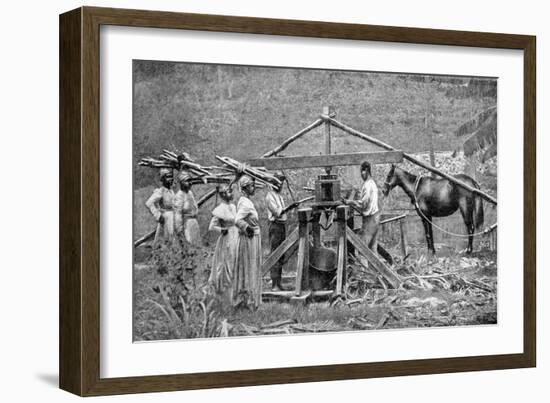 A Wooden, Horse-Powered Suger Cane Crushing Mill, West Indies, 1922-null-Framed Giclee Print