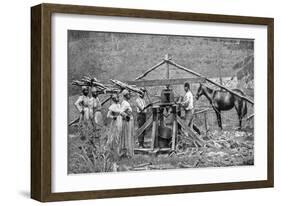 A Wooden, Horse-Powered Suger Cane Crushing Mill, West Indies, 1922-null-Framed Giclee Print