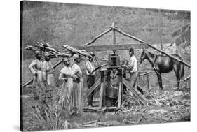 A Wooden, Horse-Powered Suger Cane Crushing Mill, West Indies, 1922-null-Stretched Canvas