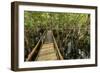 A wooden walkway at a jungle lodge above the Amazon River, Manaus, Brazil-James White-Framed Photographic Print