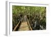 A wooden walkway at a jungle lodge above the Amazon River, Manaus, Brazil-James White-Framed Photographic Print