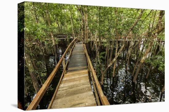 A wooden walkway at a jungle lodge above the Amazon River, Manaus, Brazil-James White-Stretched Canvas