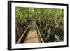 A wooden walkway at a jungle lodge above the Amazon River, Manaus, Brazil-James White-Framed Photographic Print