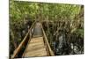 A wooden walkway at a jungle lodge above the Amazon River, Manaus, Brazil-James White-Mounted Photographic Print