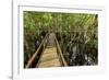 A wooden walkway at a jungle lodge above the Amazon River, Manaus, Brazil-James White-Framed Photographic Print