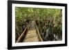 A wooden walkway at a jungle lodge above the Amazon River, Manaus, Brazil-James White-Framed Photographic Print