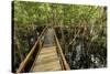 A wooden walkway at a jungle lodge above the Amazon River, Manaus, Brazil-James White-Stretched Canvas