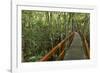 A wooden walkway at a jungle lodge above the Amazon River, Manaus, Brazil-James White-Framed Photographic Print