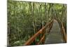 A wooden walkway at a jungle lodge above the Amazon River, Manaus, Brazil-James White-Mounted Photographic Print