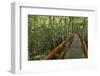 A wooden walkway at a jungle lodge above the Amazon River, Manaus, Brazil-James White-Framed Photographic Print