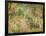 A Woodland Park-Spencer Frederick Gore-Framed Giclee Print