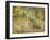 A Woodland Park-Spencer Frederick Gore-Framed Giclee Print