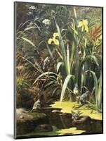 A Woodland Pool-Olaf August Hermansen-Mounted Giclee Print