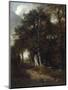 A Woodland Scene, c.1801-John Constable-Mounted Giclee Print