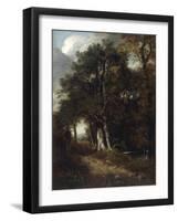 A Woodland Scene, c.1801-John Constable-Framed Giclee Print