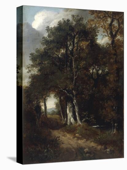 A Woodland Scene, c.1801-John Constable-Stretched Canvas