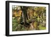 A Woodland Stream-Peder Monsted-Framed Art Print