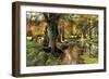 A Woodland Stream-Peder Monsted-Framed Premium Giclee Print