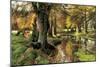 A Woodland Stream-Peder Monsted-Mounted Premium Giclee Print