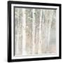 A Woodland Walk II-Lisa Audit-Framed Art Print