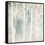 A Woodland Walk III-Lisa Audit-Framed Stretched Canvas