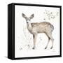 A Woodland Walk IX-Lisa Audit-Framed Stretched Canvas