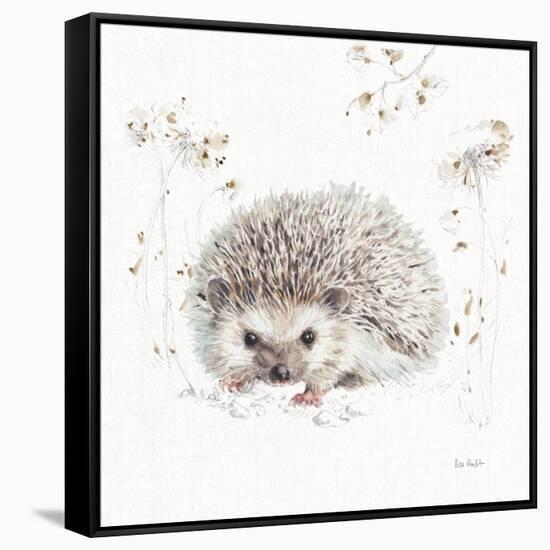 A Woodland Walk XII-Lisa Audit-Framed Stretched Canvas