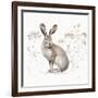 A Woodland Walk XIII-Lisa Audit-Framed Premium Giclee Print