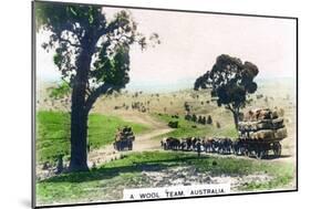 A Wool Team, Australia, C1920S-null-Mounted Giclee Print