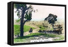 A Wool Team, Australia, C1920S-null-Framed Stretched Canvas