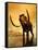 A Woolly Mammoth in a Dramatic Frozen Sunset-null-Framed Stretched Canvas