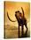 A Woolly Mammoth in a Dramatic Frozen Sunset-null-Stretched Canvas