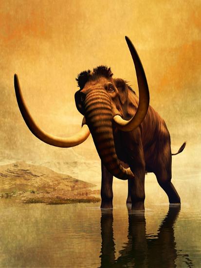 Art Print, , large
