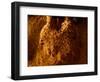 A Worker Shows His Paddy at a Rice Mill in the Karawang Regency in West Java-Beawiharta Beawiharta-Framed Photographic Print