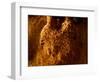 A Worker Shows His Paddy at a Rice Mill in the Karawang Regency in West Java-Beawiharta Beawiharta-Framed Photographic Print