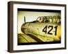 A World War Ii Aeroplane-Cristina Carra Caso-Framed Photographic Print