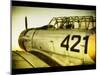 A World War Ii Aeroplane-Cristina Carra Caso-Mounted Photographic Print