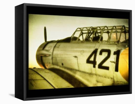 A World War Ii Aeroplane-Cristina Carra Caso-Framed Stretched Canvas