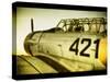 A World War Ii Aeroplane-Cristina Carra Caso-Stretched Canvas