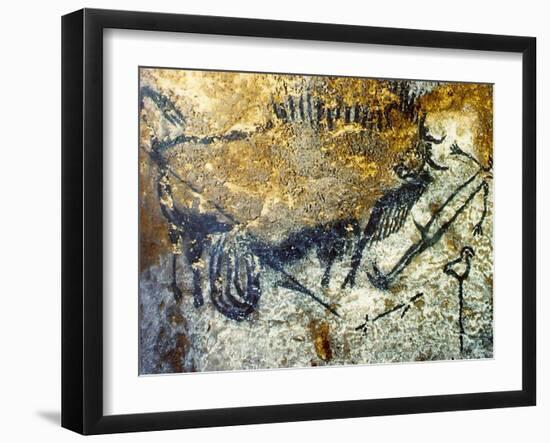 A Wounded Bison Attacking a Man, C.15,000-10,000 Bc-null-Framed Giclee Print