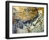 A Wounded Bison Attacking a Man, C.15,000-10,000 Bc-null-Framed Giclee Print