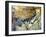 A Wounded Bison Attacking a Man, C.15,000-10,000 Bc-null-Framed Giclee Print